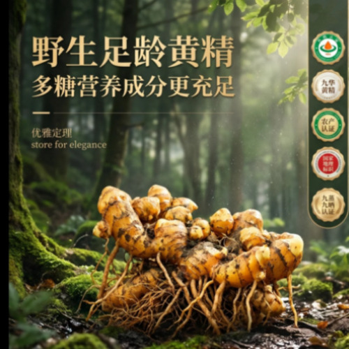 菁选灵创AIGC科技服务